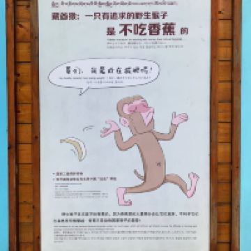 評論圖片 3