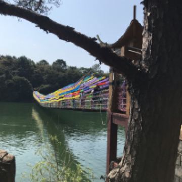 評論圖片 1
