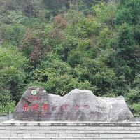 評論圖片 9