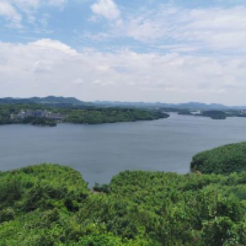 評論圖片 6