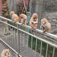 評論圖片 2