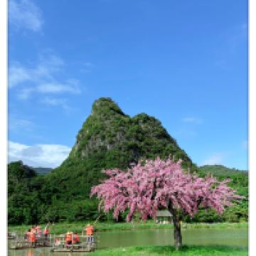 評論圖片 4