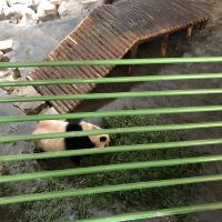 評論圖片 9