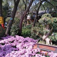 評論圖片 9