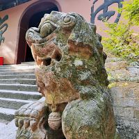 評論圖片 6