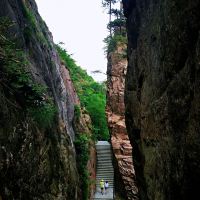 評論圖片 7