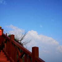 評論圖片 7