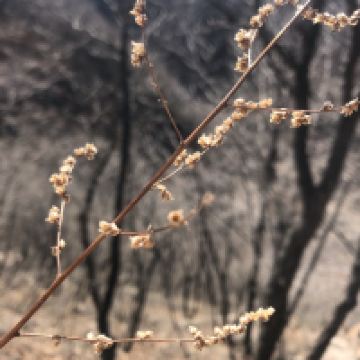 評論圖片 3