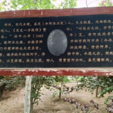評論圖片 3