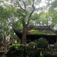 評論圖片 5