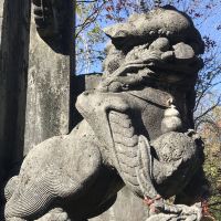 評論圖片 2
