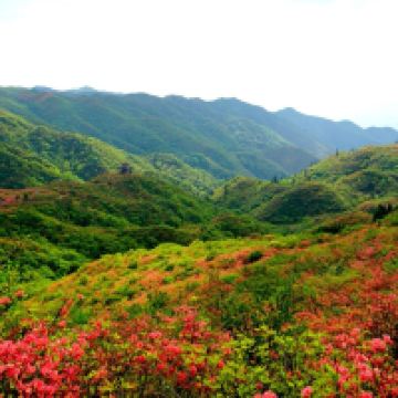 評論圖片 4