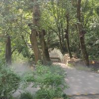 評論圖片 1