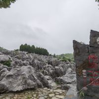 評論圖片 2