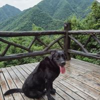 評論圖片 1
