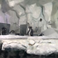 評論圖片 7