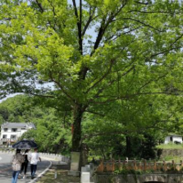評論圖片 7