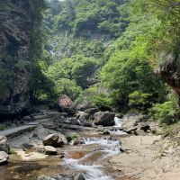 評論圖片 2