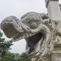 評論圖片 6