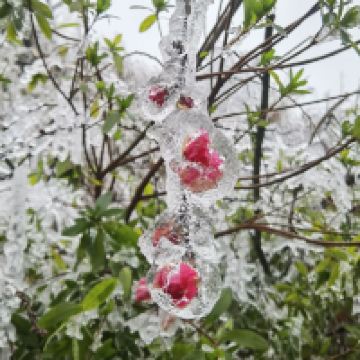 評論圖片 8
