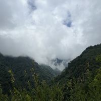 評論圖片 3