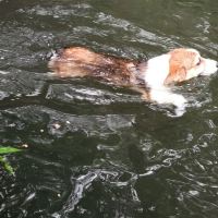 評論圖片 4