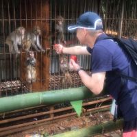 評論圖片 6