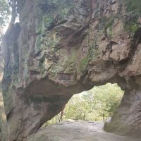 評論圖片 4