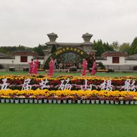 評論圖片 1