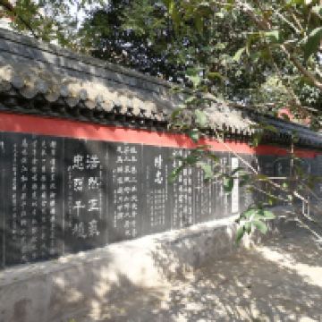 評論圖片 8