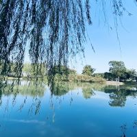 評論圖片 2
