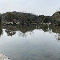 評論圖片 2
