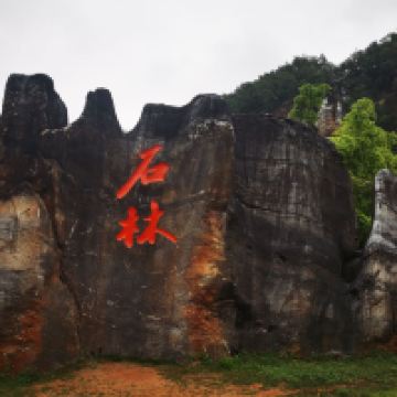 評論圖片 1