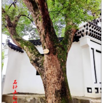 評論圖片 6