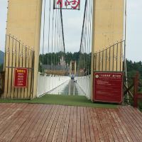 評論圖片 6