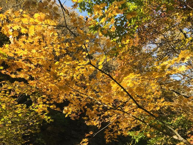 용도구