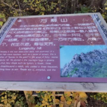 評論圖片 5