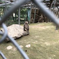 評論圖片 6