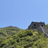 評論圖片 6