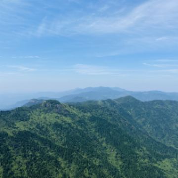評論圖片 7