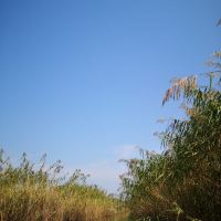 評論圖片 7