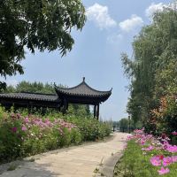 評論圖片 6