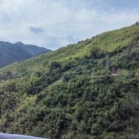 評論圖片 4