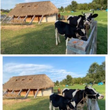 評論圖片 1