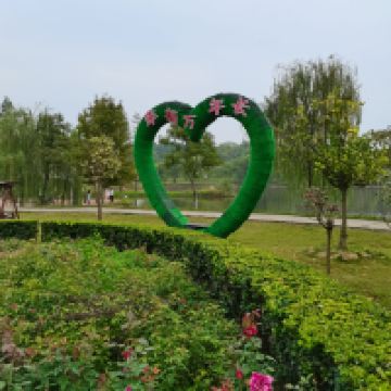 評論圖片 5