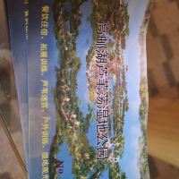 評論圖片 5