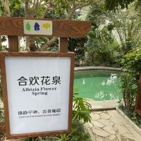評論圖片 6