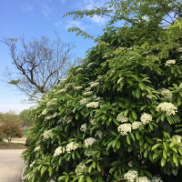 評論圖片 7