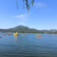 評論圖片 3