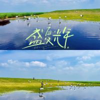 評論圖片 3